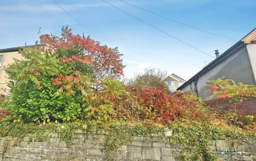 Development Opportunity in SWANSEA photo